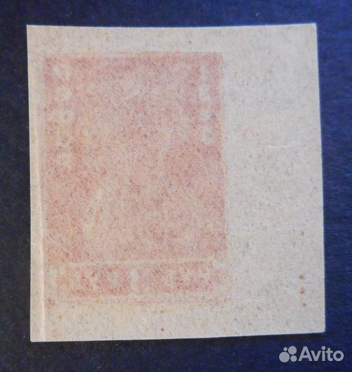 1923 год РСФСР Беззубцовая Марка 3 р Красноармеец