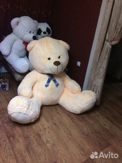 Ростовые медведи