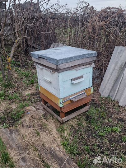 Улей для пчел