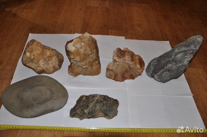 Камни в аквариум, террариум, скала, растения