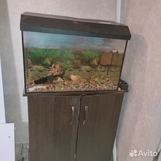 Продам аквариум
