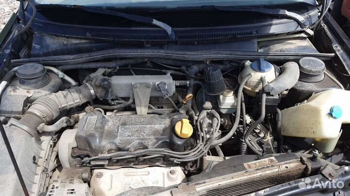 Вортекс корда Чери амулет разбор