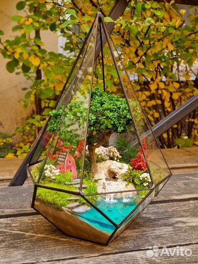 Флорариумы моссариумы без ухода