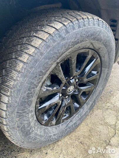 Nord Wolf Cargo 65/75 R30.5