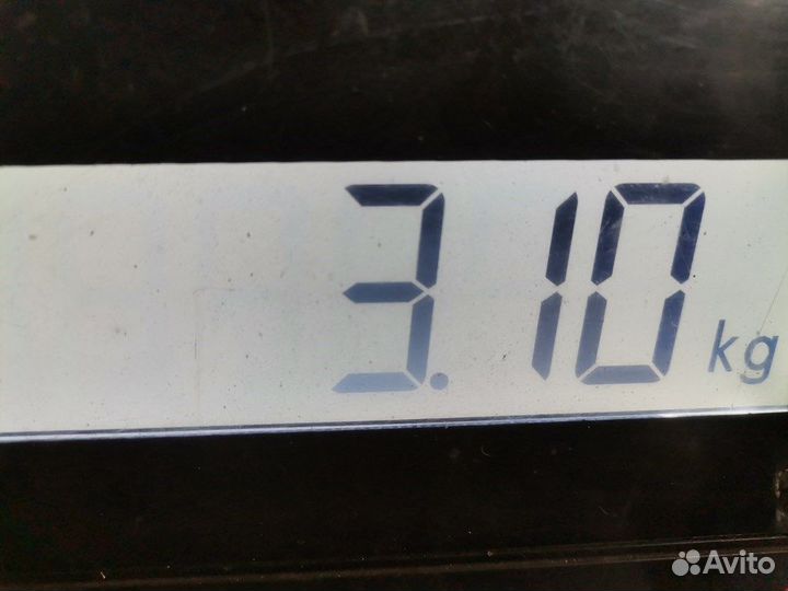 Пружина подвески задняя для Volkswagen Golf 4