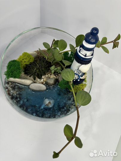 Флорариум с водоемом+подарочная упаковка