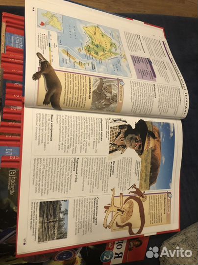 Энциклопедия для детей