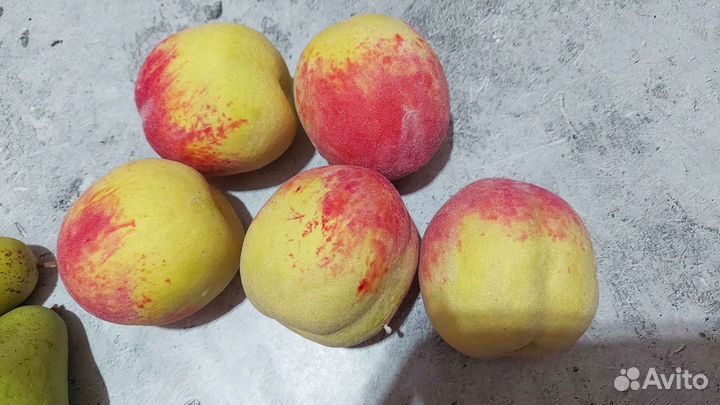 Муляжи овощи фрукты