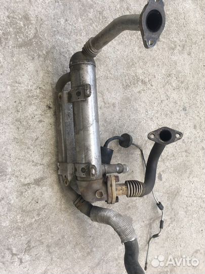 Радиатор EGR Audi A3 8P (3648)