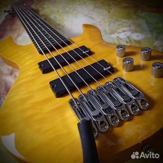 Шестиструнный бас с активной электроникой Palmer