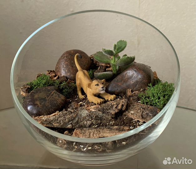 Флорариумы разные на заказ