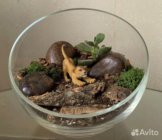 Флорариумы разные на заказ