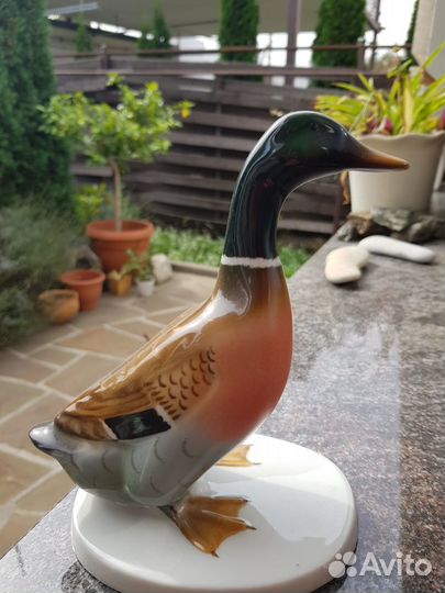 Утка большая и маленькая