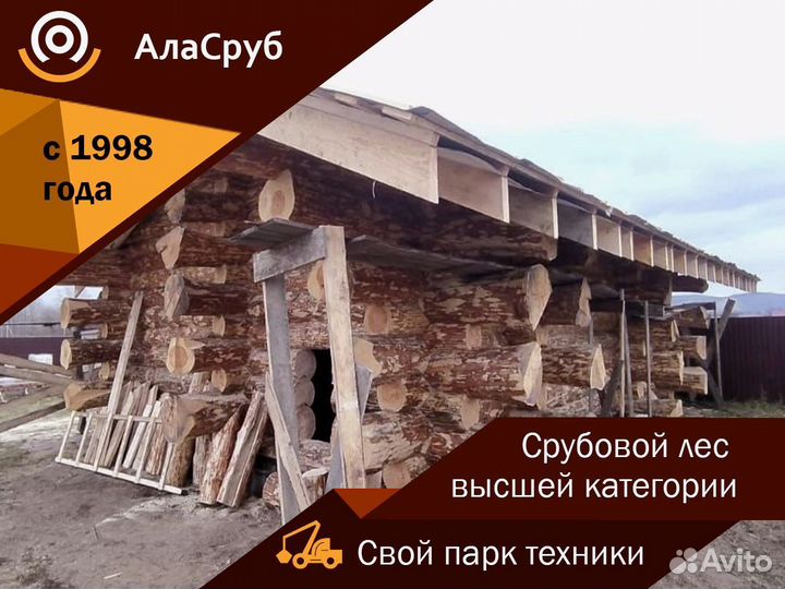 Дикий сруб