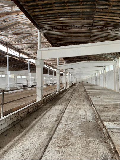 Фермы для содержания крс, 3 х 2000 м²