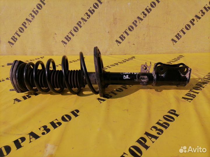Амортизатор задний правый Toyota Camry 50