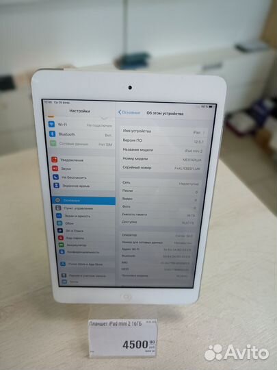 iPad mini 2