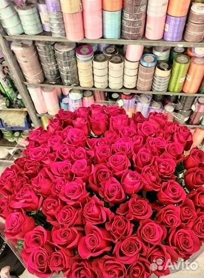 Высокие розы Гигантские розы Доставка цветов