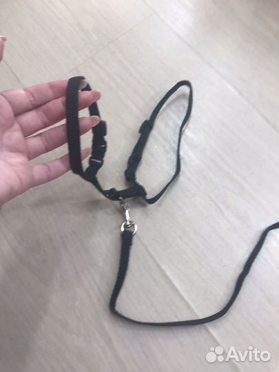 Шлейка для кошки