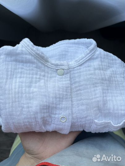 Панама и песочник муслиновые