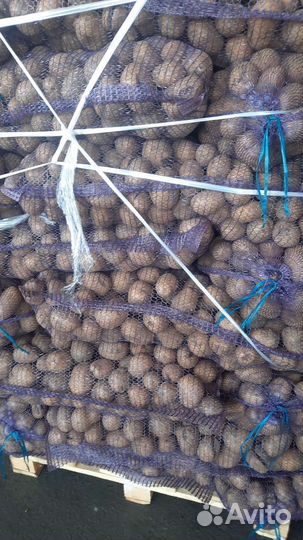 Картофель, морковь, виноград, кабачки для животных