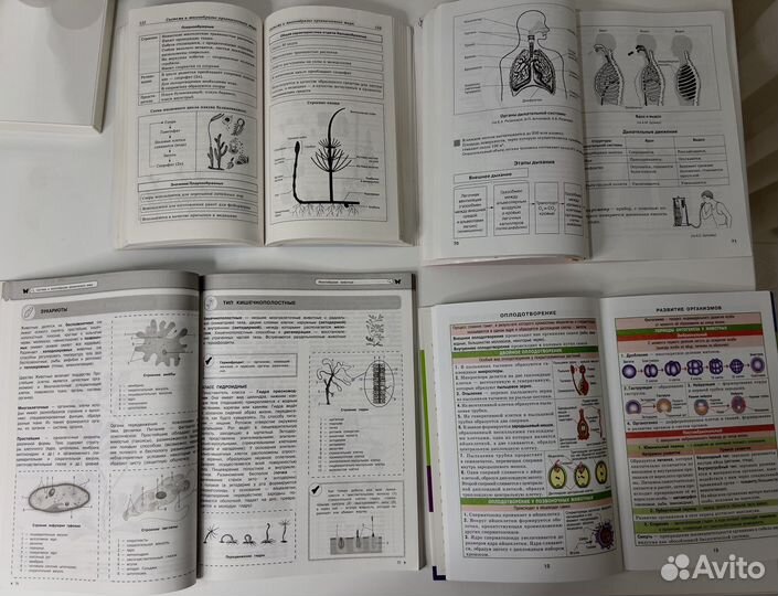 Биология ЕГЭ. Набор из 4-ёх тетрадей