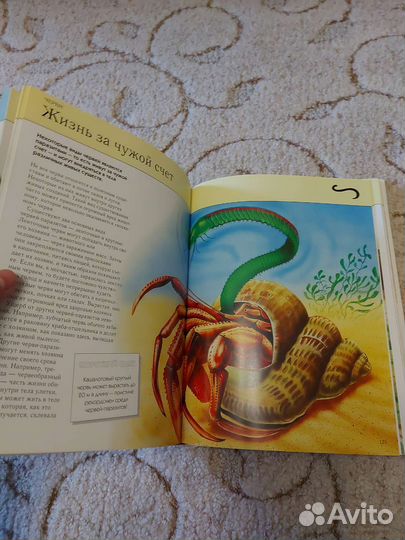 Большая детская энциклопедия