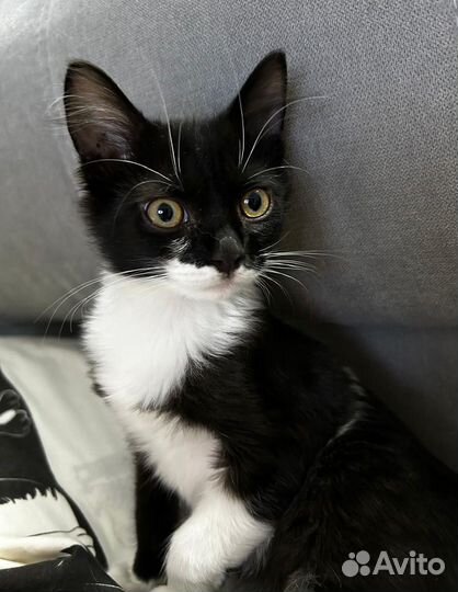 Мартин ищет семью