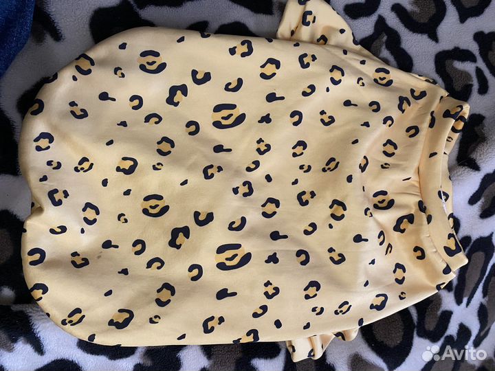 Одежда для собак