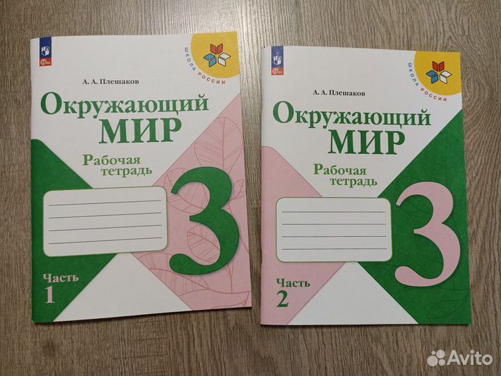 Рабочая тетрадь окружающий мир 2 и 3 класс