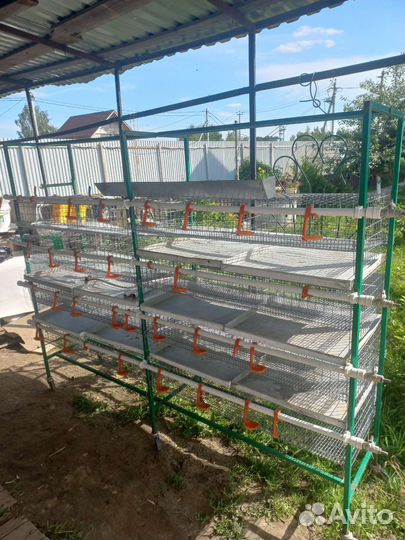 Клетки для перепелов бу