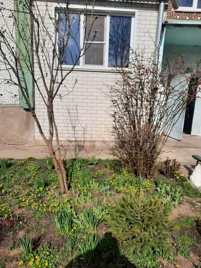 3-к. квартира, 75,7 м², 1/3 эт.