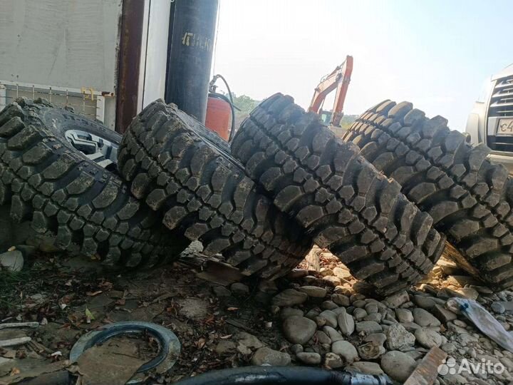 Белшина Artmotion 10.5/500 R16