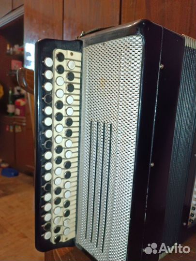 Баян тульский терка