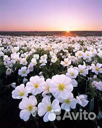 Разнорабочий вахта во Владимирской области