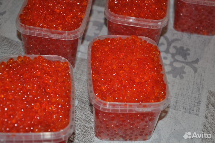Икра красная Камчатка 2023