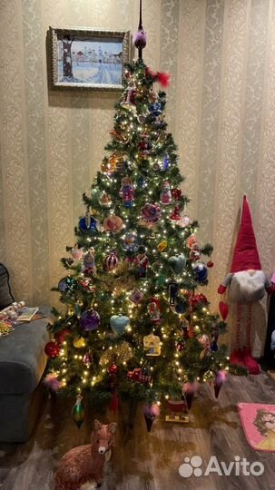 Елка - царь елка 210