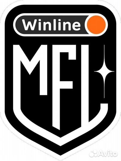 Билет на финал mfl