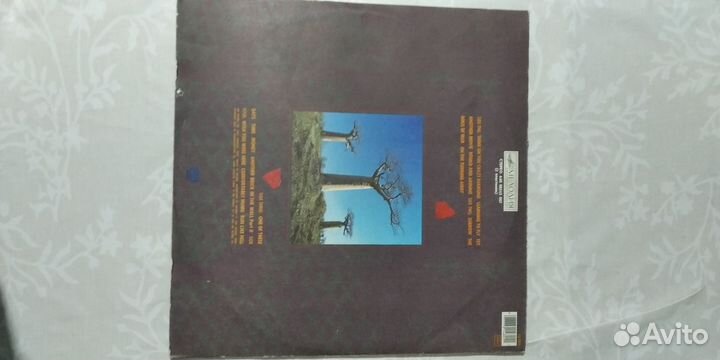 Pink Floyd delicate sound of thunder винил