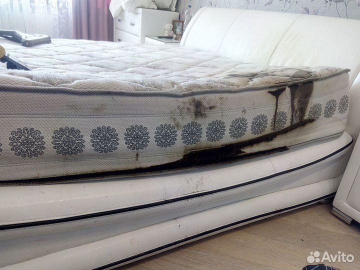 Химчистка мебели и ковров