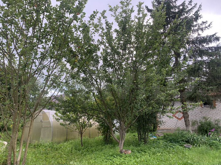 Дом 82 м² на участке 16 сот.