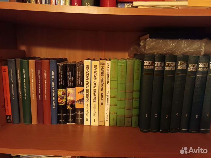 Жизнь животных