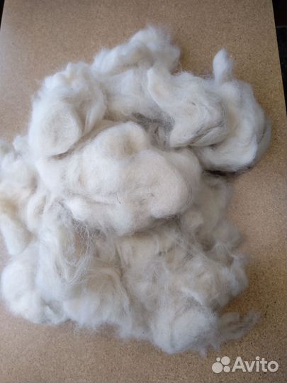 Шерсть собачья