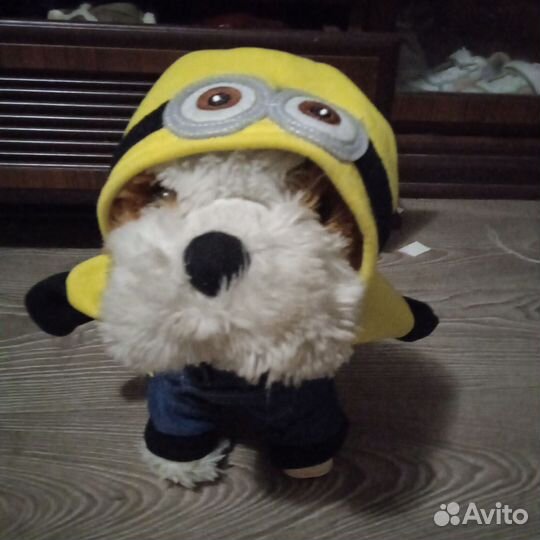 Костюм миньона для собаки