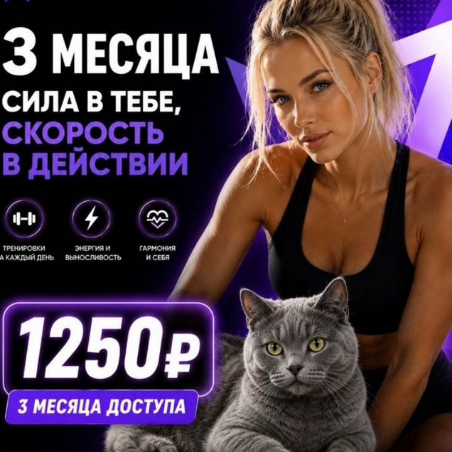 Подписка FitStars 3 месяца
