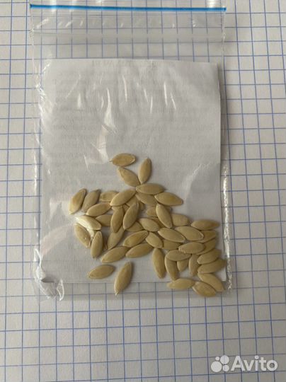 Семана огурцов, томатов от агрофирмы Партнёр