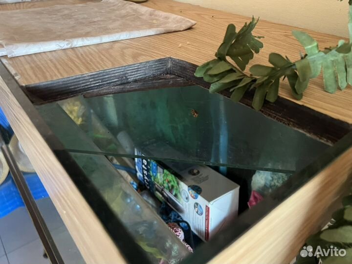Аквариум на 300 литров