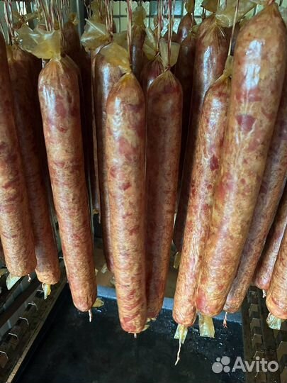 Колбоса домашняя деревенская