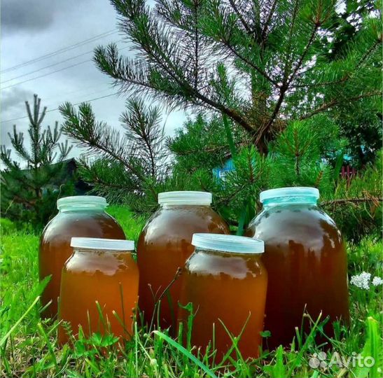 Мёд натуральный