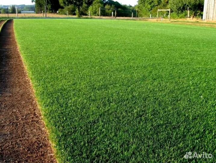 Рулонный газон